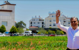 Muratpaşa'da mısırlar büyüyor