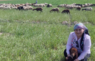 'Meralar yandaş şirketlere mi veriliyor?'