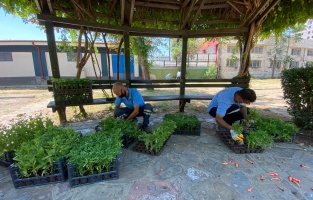 Seyhan çiçek açıyor!