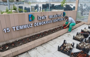 İzmit'in parklarında rengârenk çiçekler açtı