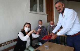 İzmit Kulfallı kirazı ve üzümü ulusal pazara açılacak