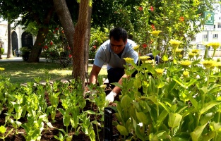 Seyhan'daki parklar temiz ve rengarenk