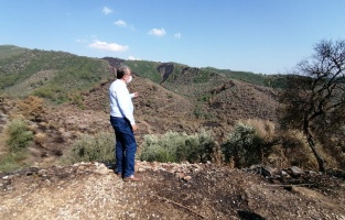 '500 yıllık ağaçlarımız yandı!'