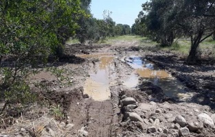 CHP'li Bülbül: 'Felaketin yükü vatandaşın omzunda'