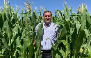 Gürer: 'Ekim alanlarının daralması çiftçinin sessiz protestosudur!'