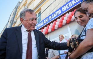 Seyhan'da 6 ayda 1000 sokak hayvanı kısırlaştırıldı