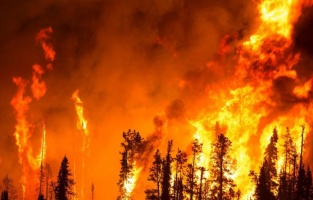 CHP'li Beko'dan Çeşme yangınıyla ilgili çarpıcı iddia