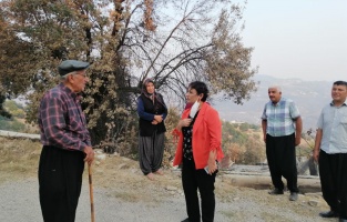 'Yangınlar son bulsun, artık ciğerimiz yanmasın'