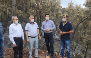 CHP'li heyet orman yangını çıkan Adrasan'da incelemede bulundu