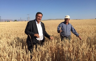 'İktidar tarımda ithalatçı anlayıştan vazgeçmiyor'