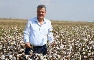 'Pamuk üreticisi hasat sevinci yaşayamıyor'