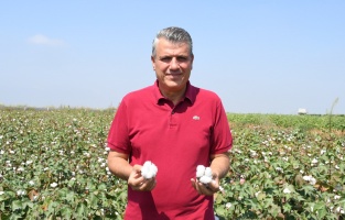 'Çiftçi üretmezse pamuk ithalatına 2 milyar dolar harcayacağız'