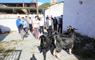 Başkan Gürün: 'Turizmden daha fazla geliri tarımdan alabiliriz'