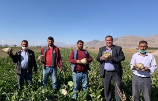 CHP'li Gürer: 'Pancar üreticisi kan ağlıyor'