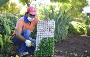600 bin mevsimlik çiçek