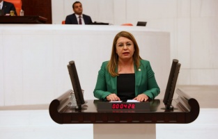 CHP'den hayvan hakları için 4 farklı yasa teklifi