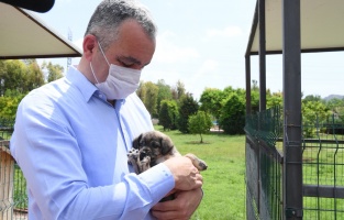 Konyaaltı Barınağı tam teşekküllü hizmet veriyor