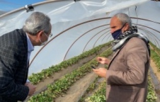 CHP'li Zeybek, selin vurduğu çiftçinin yanında