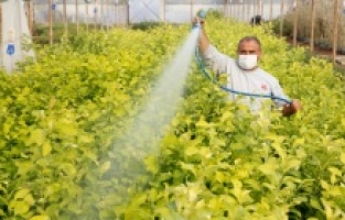 Döşemealtı çiçek kokuyor!