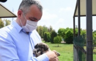 Başkan Esen:  “Minik dostlarımızı yalnız bırakmadık”