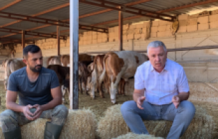 CHP'li Arık'tan iktidara çağrı