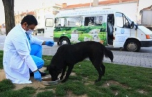 ‘Siz evinizde kalın, can dostlarımız bize emanet!’