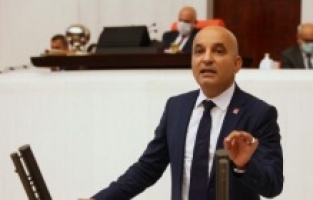 Bergama’daki ağaç katliamı Meclis gündeminde!