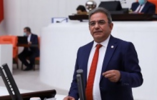 CHP'li Budak, Düden Çayı'ndaki balık ölümlerini Meclis'e taşıdı