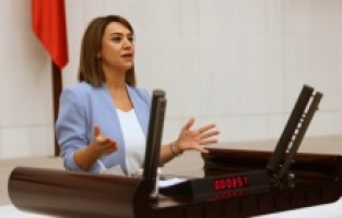 "Hasanoğlan Köy Enstitüsü yerleşkesinde bir üniversitenin kurulmalı!"