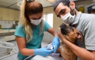 Muratpaşa'da şefkat ve sevgi mesaisi