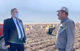 “Tonlarca patates depolarda çürüyebilir!”