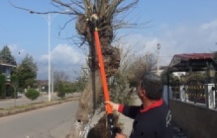 120 parkta yoğun çalışma
