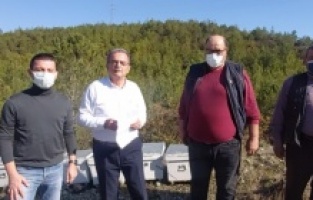 CHP'li Girgin: "Arıcıların ekmeğiyle oynamayın"