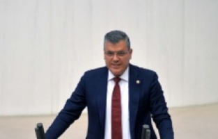 CHP'li Barut, toplu balık ölümlerini Meclis gündemine taşıdı