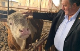 “Yem fiyatlarındaki artış hayvancılığı tehdit ediyor”