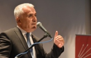 CHP'li Yeşil Ankara'daki köpek katliamını Meclis'e taşıdı