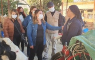 "Yandaşa milyon dolarlar, üreticiye kuruş hesabı"