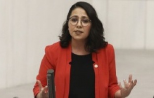 CHP'li Kadıgil'den "Muhtedir Bıyıklılar Kulübü"ne uyarı!