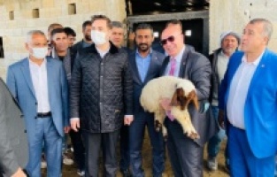 "Gözaltındaki 35 koyunu Meclis kurtardı!"