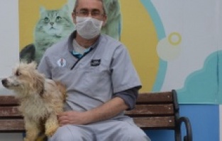 Kuşadası Belediyesi Teri'ye yeniden hayat verdi