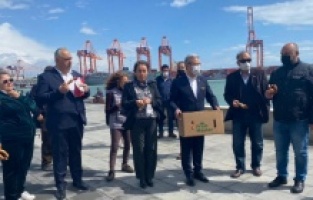 Mersin Atatürk Parkı için basın açıklaması