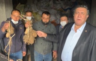 “Patates üreticisi ‘Yandım’ diye feryat ediyor”