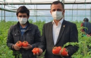 "Rusya’ya domates ihracatının önündeki engeller kaldırılmalı"