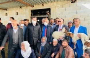 "Şanlıurfa suya hasret"