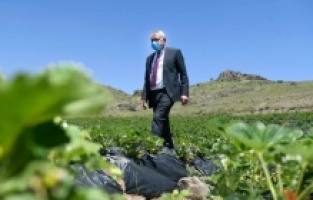 Adana'da Büyükşehir’den 2 yılda tarımsal kalkınmaya dev destek