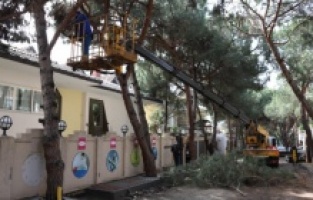 Kartal Belediyesi Park ve Bahçeler Müdürlüğü’nden yaz seferberliği