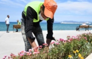 Kuşadası Belediyesi'nden sahil şeridine yaz dokunuşu