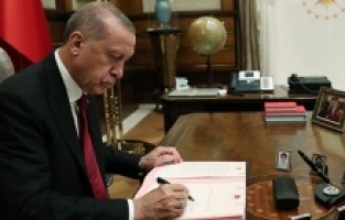 Erdoğan, Ruhsar Pekcan'ın yardımcısını da görevden aldı