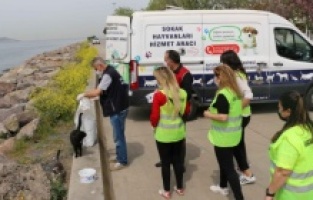 Kartal Belediyesi sokak hayvanlarının yanında