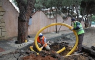 Kartal Belediyesi, yarım asırlık ağaçlara ‘Nefes Borusu’ ile can veriyor